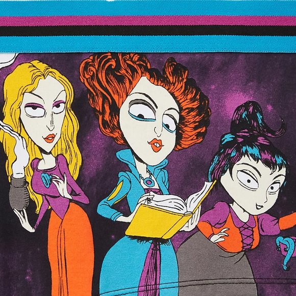 ❤️NWT VINTAGE TORRID HOCUS POCUS PANTY DISNEY BOYSHORT - PLUS SIZE HALLOWEEN - Picture 2 of 10